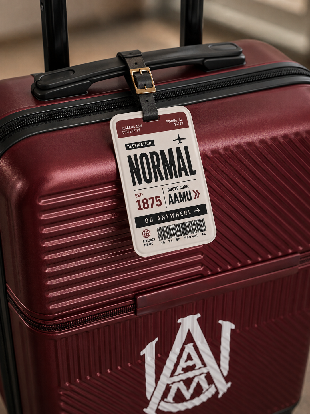 Destination: Normal Luggage tag