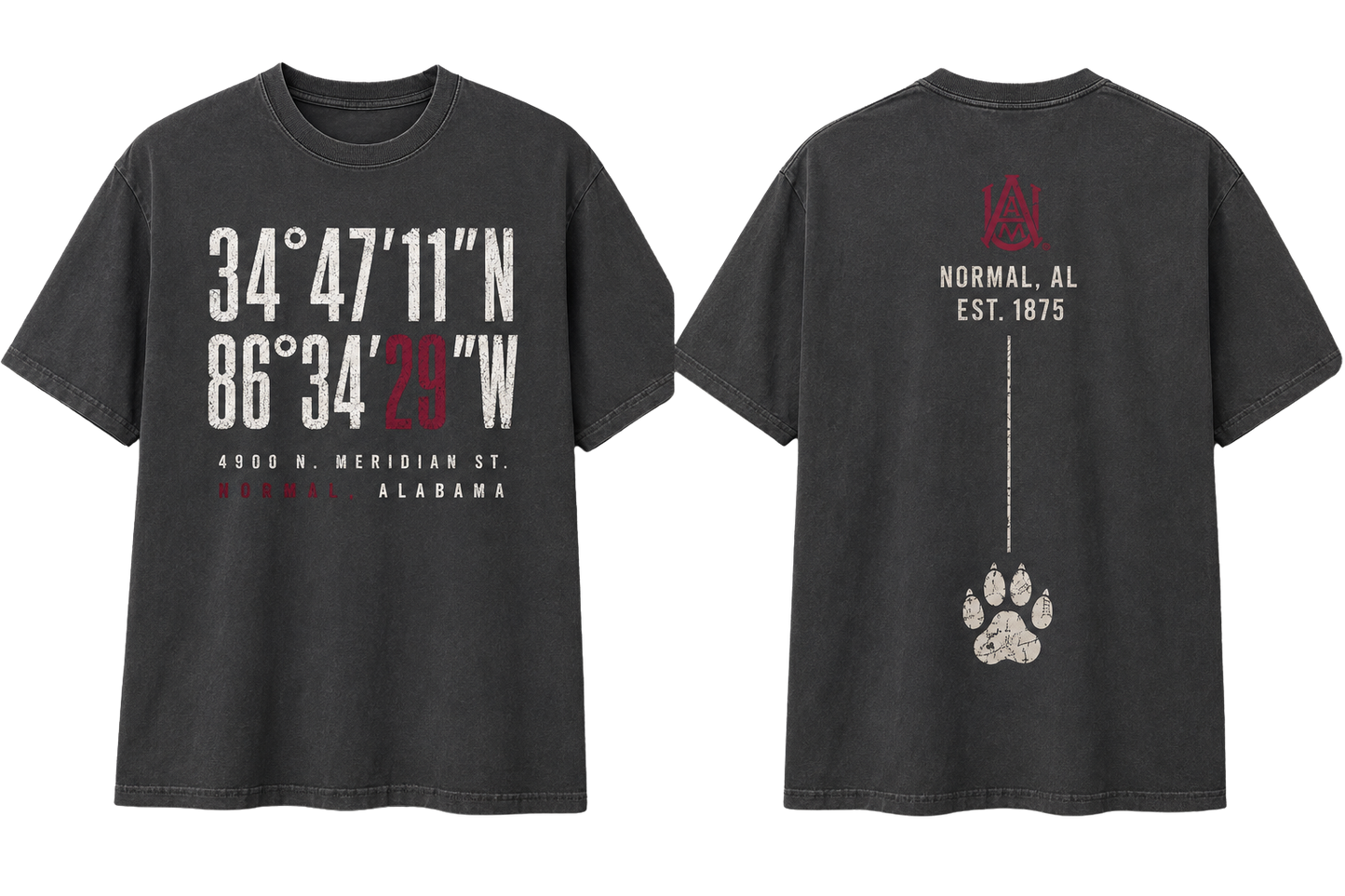 AAMU Coordinates Tee