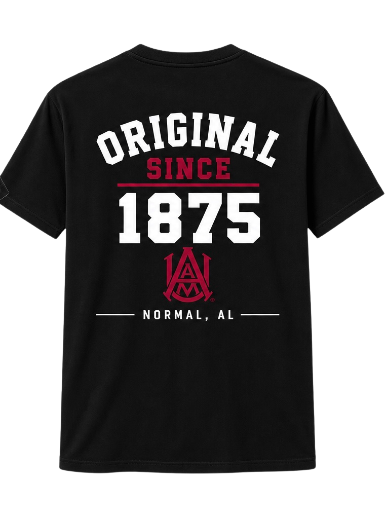 AAMU Coded In Our DNA Tee