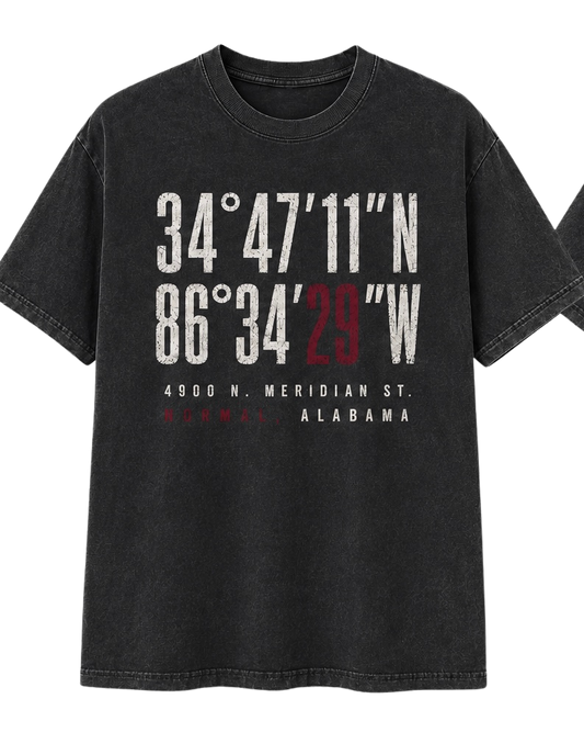AAMU Coordinates Tee