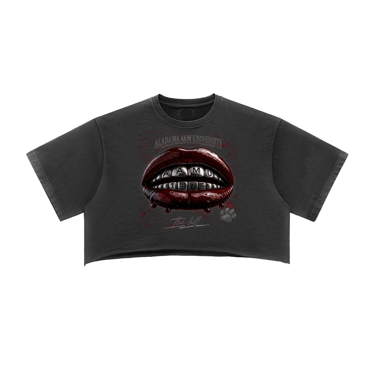 AAMU Grill Tee - Homecoming Preorder Closed