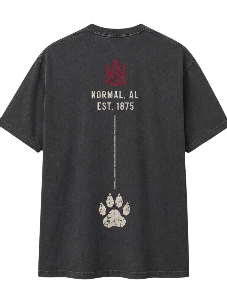 AAMU Coordinates Tee